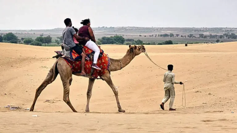 The Rise of the ‘Camel Passport’ Trends Globally