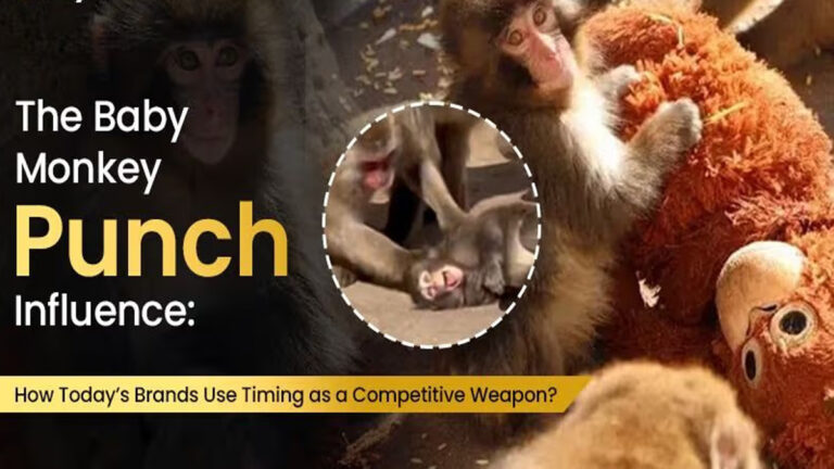 The Rise of the “Punch Monkey”: Why High-Octane Simplicity is Winning Digital Media