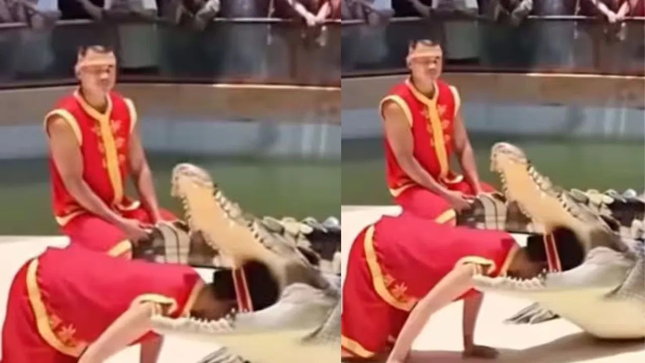 Man’s Risky Crocodile Stunt