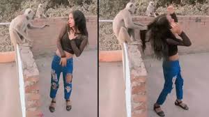 Girl Dancing Near Langur