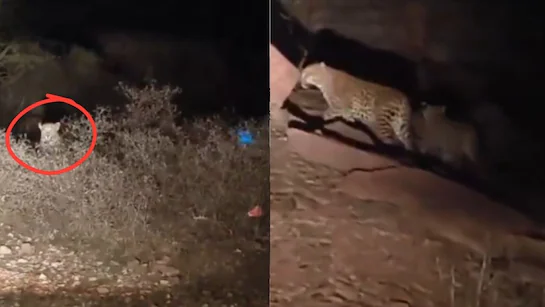 Chilling Video Captures Female