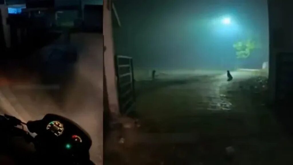 Food Delivery Inside a