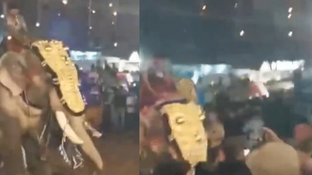 Chaos at Kerala Temple: Elephant Flings