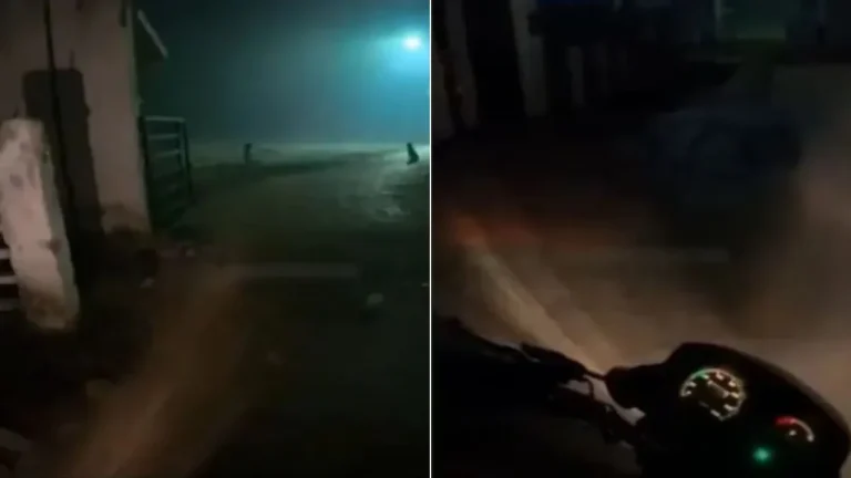 The Midnight Graveyard Biryani Order That Stunned the Internet