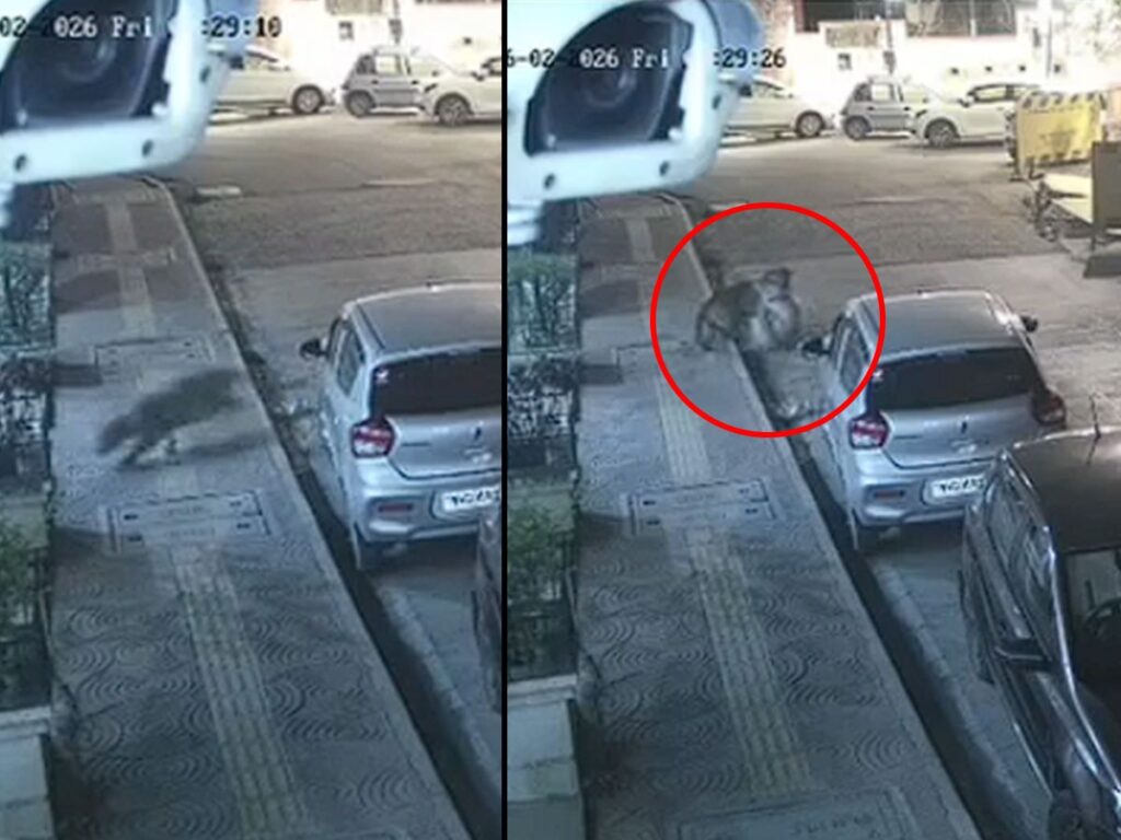 Mulund Residents Alerted Captures