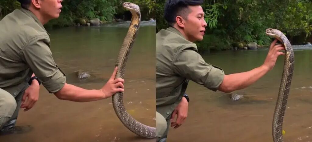 Man’s Bizarre Interaction with