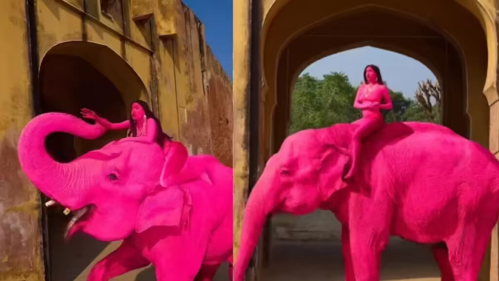 'Pink' Elephant From Russian Artist