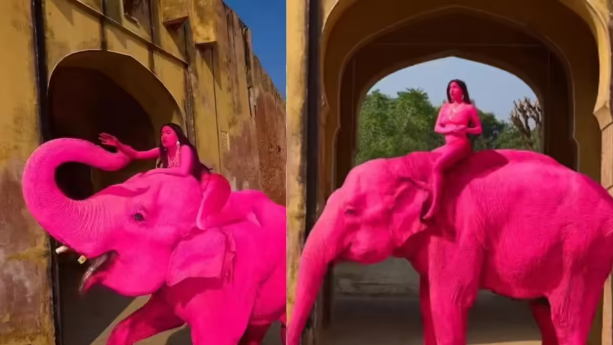 'Pink' Elephant From Russian Artist