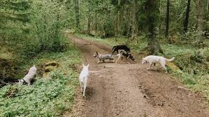 The Unfolding Reality Behind