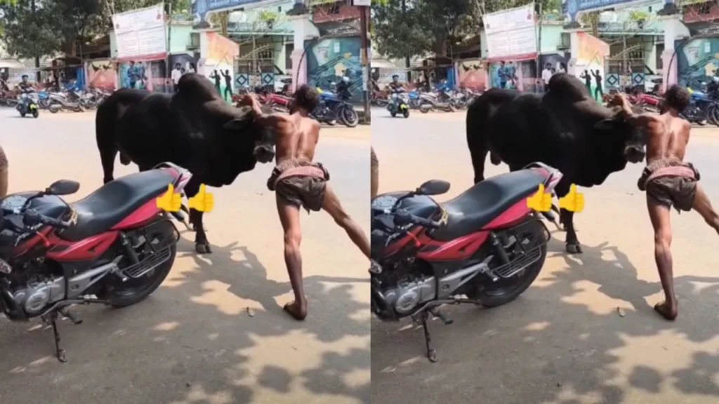 Man’s Fearless Showdown with