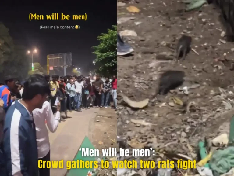 Huge Crowd Gathers in