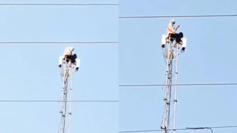High-Voltage Drama as