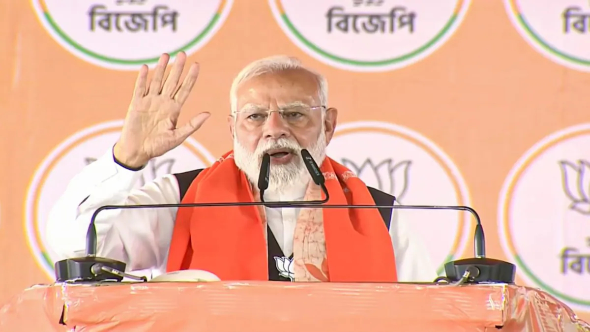 The Great Fish Fight