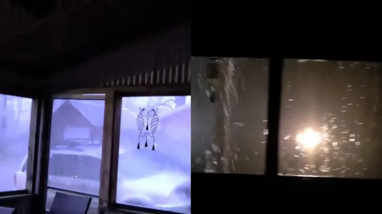 Viral Footage Captures Michigan’s Tornado Emergency