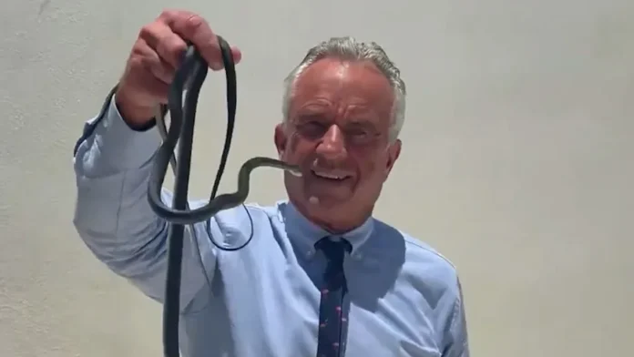 RFK Jr. Bitten After Wrangling Snakes