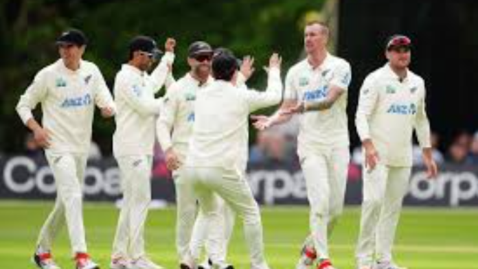 New Zealand Cricket Summer