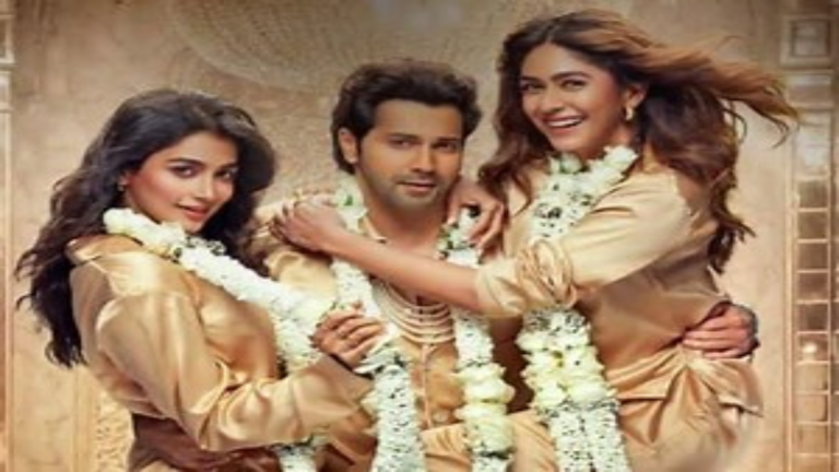 Varun Dhawan Thanks Co-Stars as Father Final Film Hits Rs 46 Cr