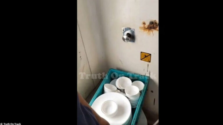 FSSAI Slams IRCTC with Notice Over Shocking Video of Utensils Washed in Train Toilet