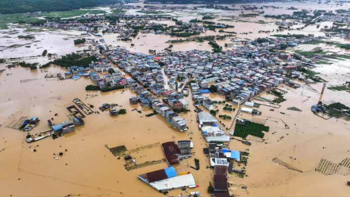 China Floods Trigger Massive Snake Escape China Floods Trigger Massive Snake Escape